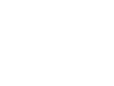 Mechanical Owl